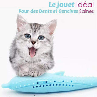 Gadgets d'Eve CATOY™ : Jouet Dentaire à Mâcher pour Chat