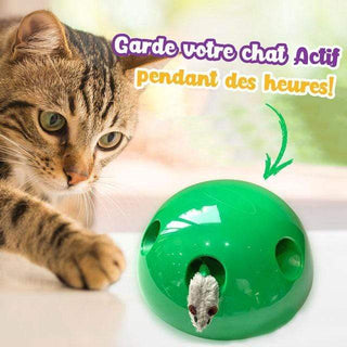 Gadgets d'Eve KITTYBOO™ : Jouet d'occupation et interactif pour chat