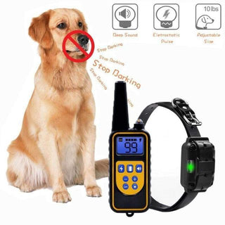 TRAINOG™ : Collier de Dressage Anti-Aboiement pour Chien